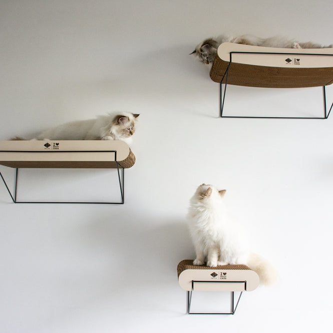 D&D Wandregal aus Pappe David