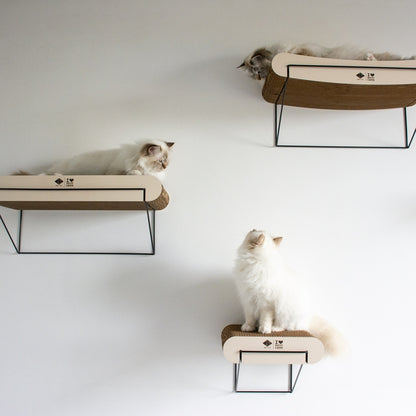 D&D Wandregal aus Pappe David