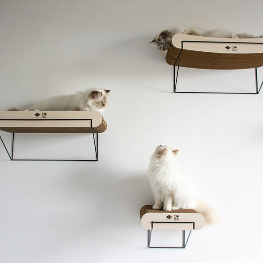 D&D Wandregal aus Pappe David