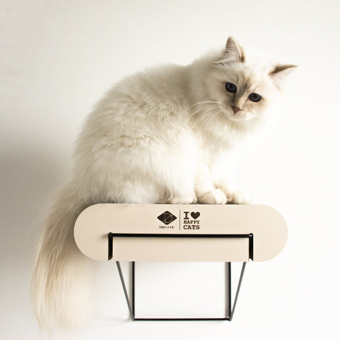 D&D Wandregal aus Pappe David