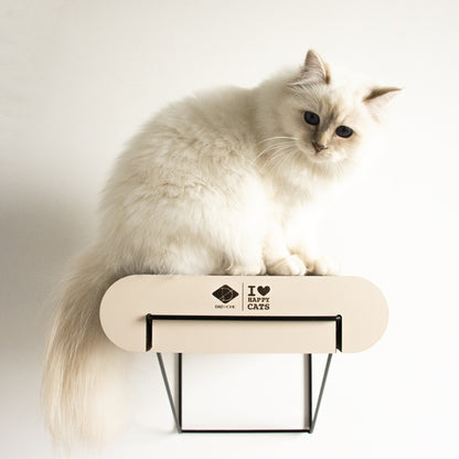 D&D Wandregal aus Pappe David