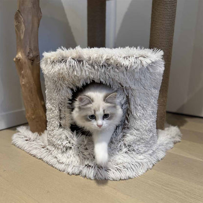 EBI Kratzbaum Marseille