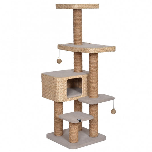 EBI Kratzbaum Palawan