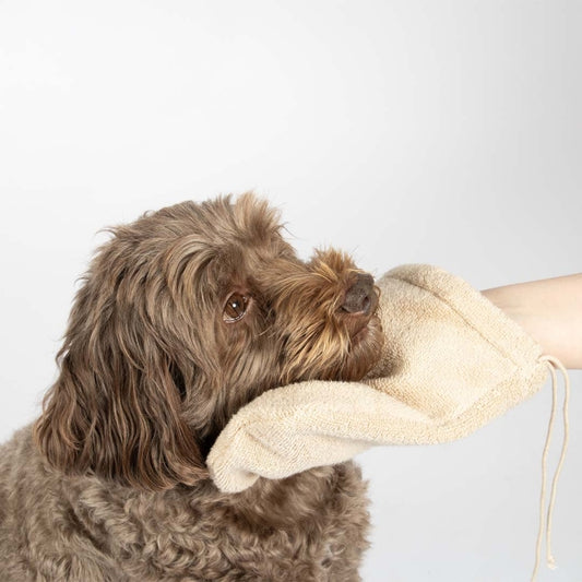 EBI Noir Japandi Pflegeset