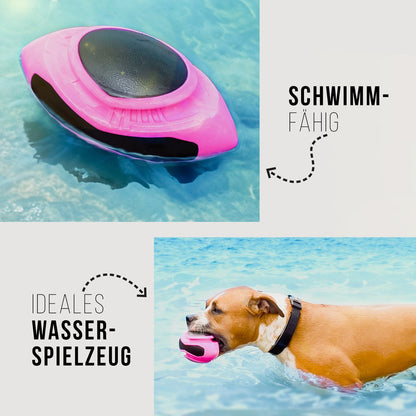 Hunde-Football – schwimmfähig