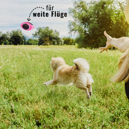 Hunde-Football – schwimmfähig