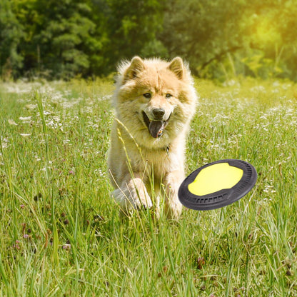 Hunde-Frisbee – schwimmfähig