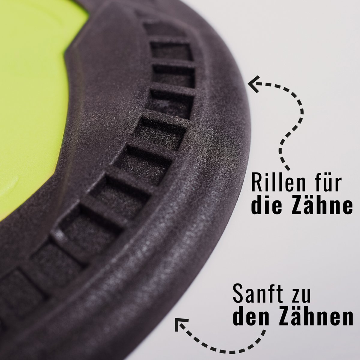 Hunde-Frisbee – schwimmfähig