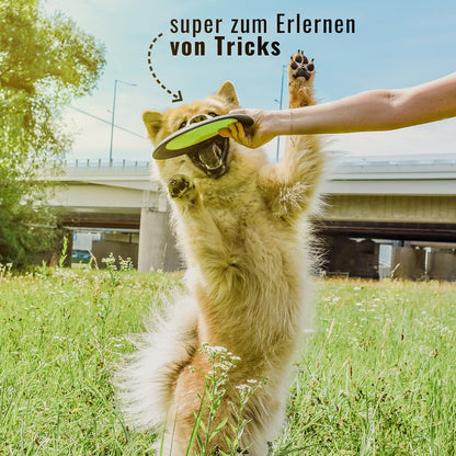 Hunde-Frisbee – schwimmfähig
