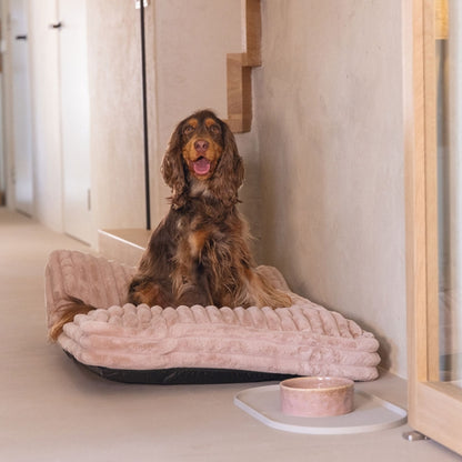 Hundekissen Reza