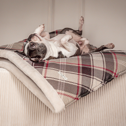 Pawla Petstore: King Louis Collection Kuschelsack KARO