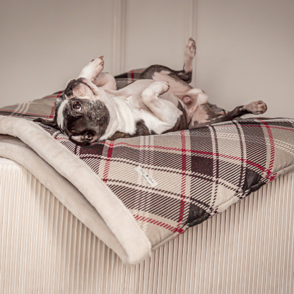 Pawla Petstore: King Louis Collection Kuschelsack KARO