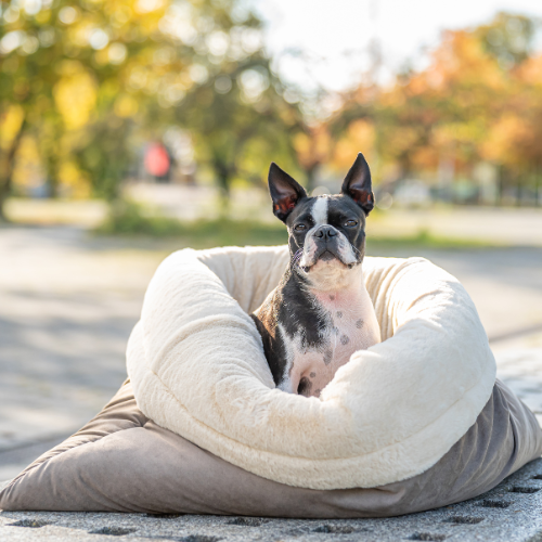 Pawla Petstore: King Louis Collection Kuschelsack WILDLEDER