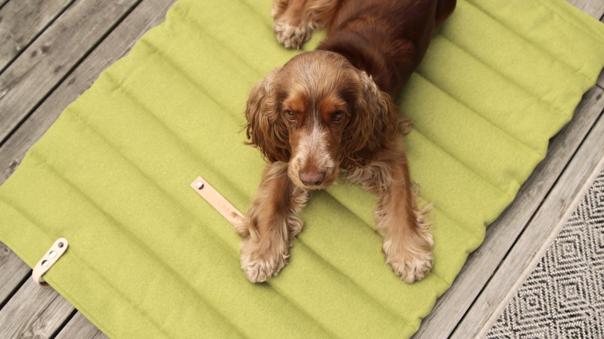 Paw Inspired Hundekäfigmatte – Waschbar, Gepolstert, 104 X 71 Cm, Für 107 Cm Hundeboxen