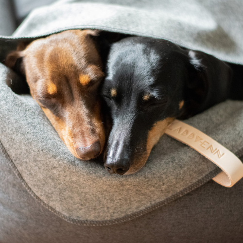 Labbvenn Decke ÅSNEN
