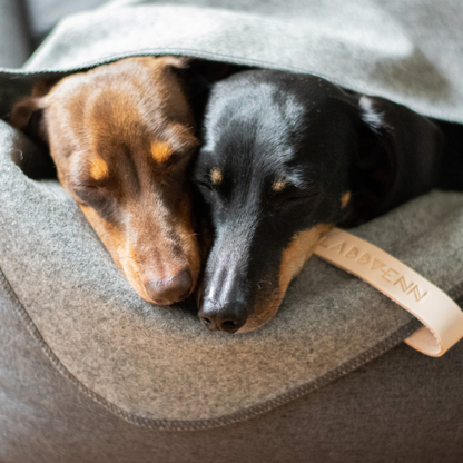 Labbvenn Decke ÅSNEN