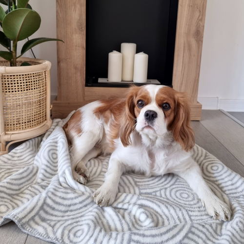 Labbvenn Decke MANNO