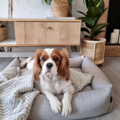 Labbvenn Decke MANNO