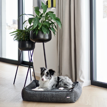 Labbvenn Hundebett BUKLAA