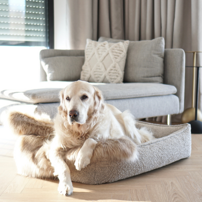 Labbvenn Hundebett BUKLAA