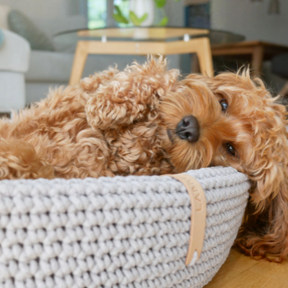 Labbvenn Hundebett LUKKO
