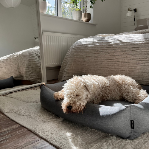 Labbvenn Hundebett MOE