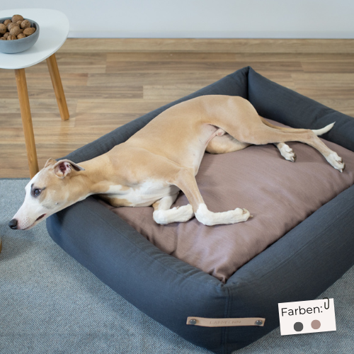 Labbvenn Hundebett STOKKE
