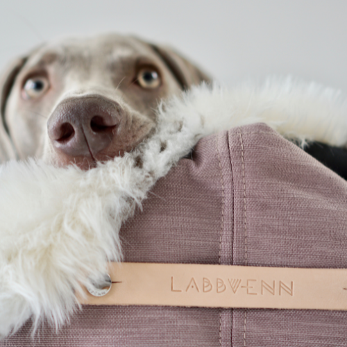 Labbvenn Hundebett STOKKE