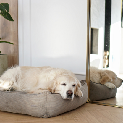 Labbvenn Hundebett STRIPPO