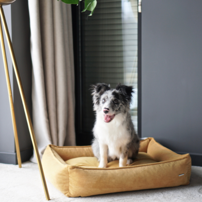 Labbvenn Hundebett STRIPPO