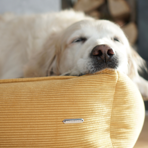 Labbvenn Hundebett STRIPPO
