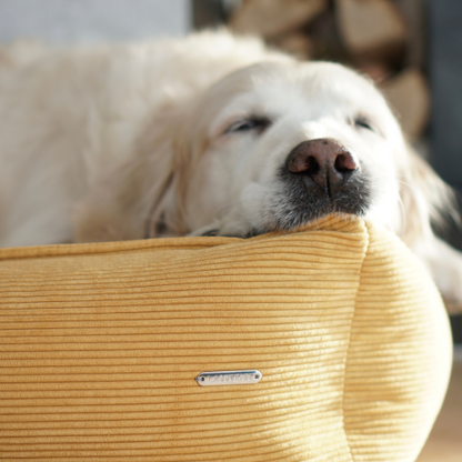 Labbvenn Hundebett STRIPPO