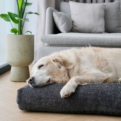 Labbvenn Hundekissen BUKLAA