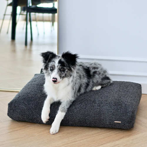 Labbvenn Hundekissen BUKLAA