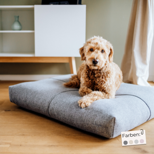 Labbvenn Hundekissen FINNO