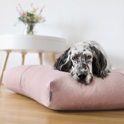 Labbvenn Hundekissen FINNO