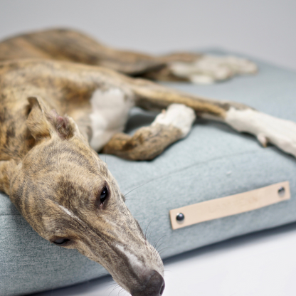 Labbvenn Hundekissen NORDIC COLLECTION