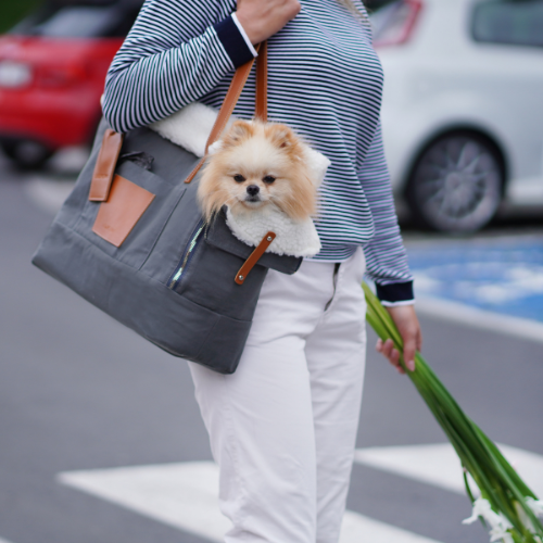 Labbvenn 2-in-1 Hundetasche & Handtasche LIIVA