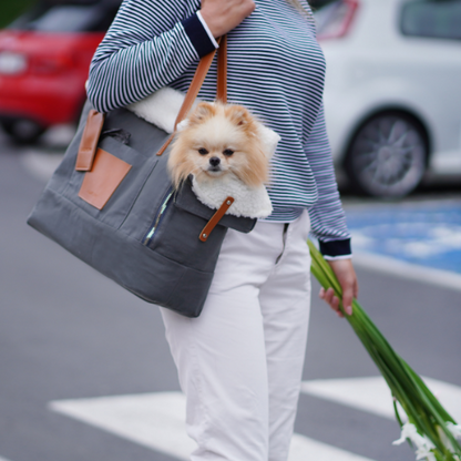 Labbvenn 2-in-1 Hundetasche & Handtasche LIIVA