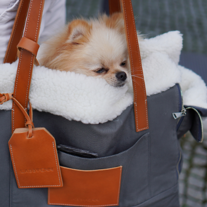 Labbvenn 2-in-1 Hundetasche & Handtasche LIIVA