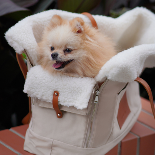 Labbvenn 2-in-1 Hundetasche & Handtasche LIIVA