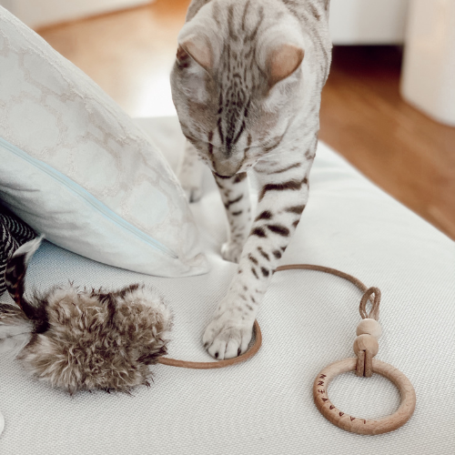 Labbvenn Katzenspielzeug MUSSE