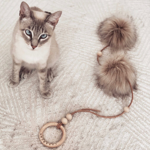 Labbvenn Katzenspielzeug TOLLO