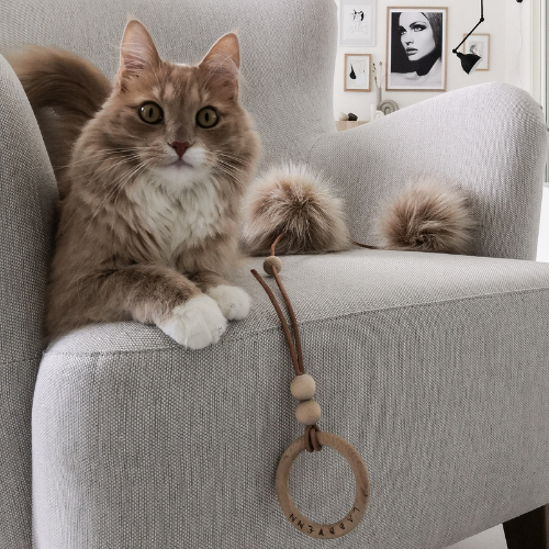 Labbvenn Katzenspielzeug TOLLO