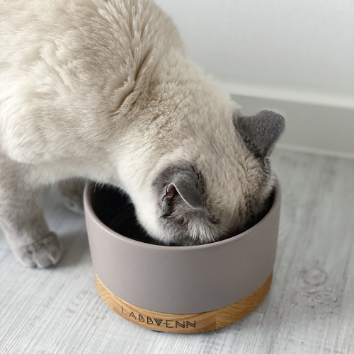 Labbvenn Keramik Futternapf für Katzen VUKU