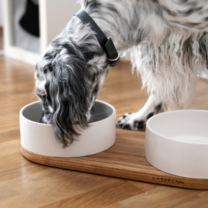 Labbvenn Keramik Futterstation für Hunde VUKU