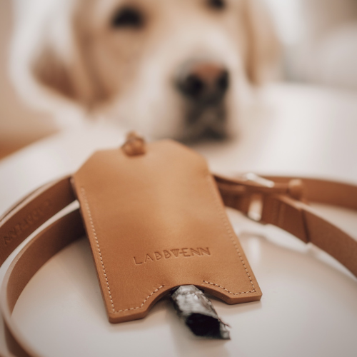 Labbvenn Set aus Leine LUSSA & Kotbeutelspender SAKU