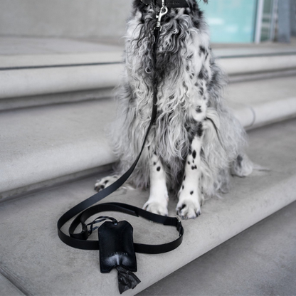 Labbvenn Set aus Leine LUSSA & Kotbeutelspender SAKU