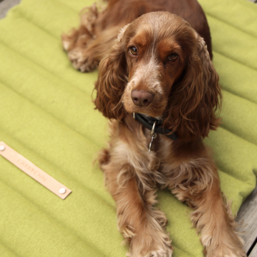 Labbvenn Reisematte FOSSER