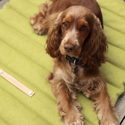 Labbvenn Reisematte FOSSER